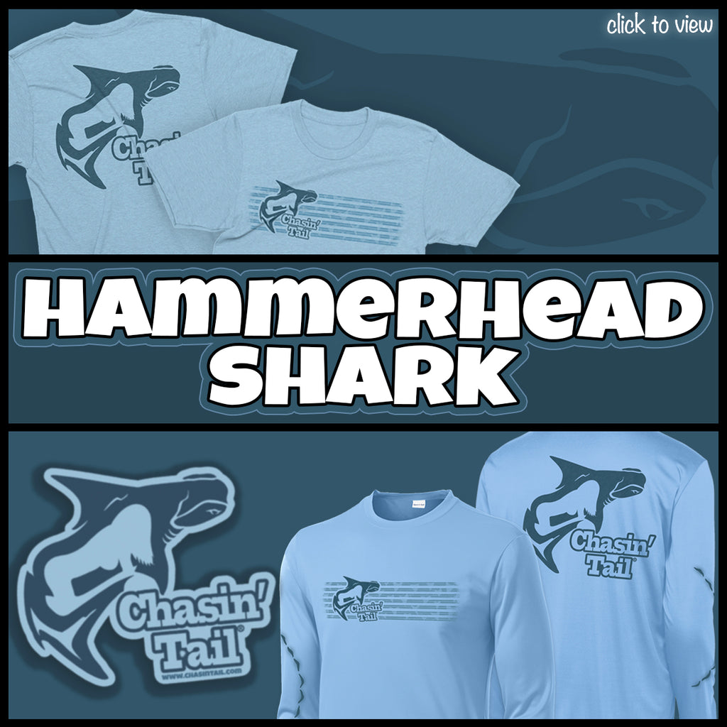 Hammerhead Shark Collection
