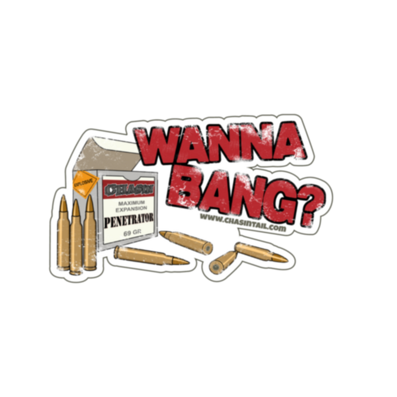 Wanna Bang Bullet Sticker