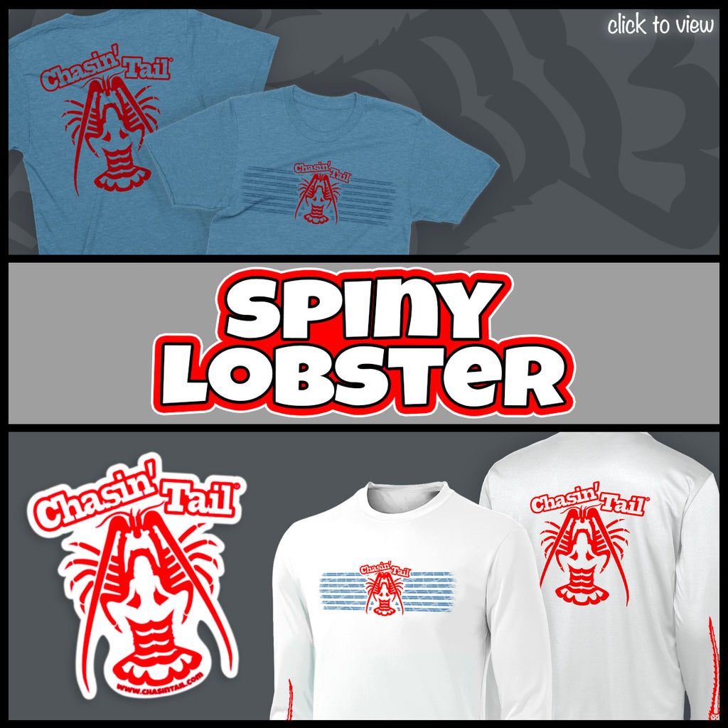 Spiny Lobster Collection